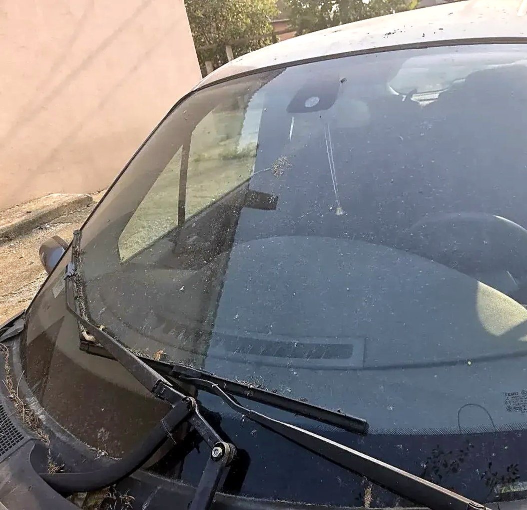 Sofersajbna Renault Scenic 2