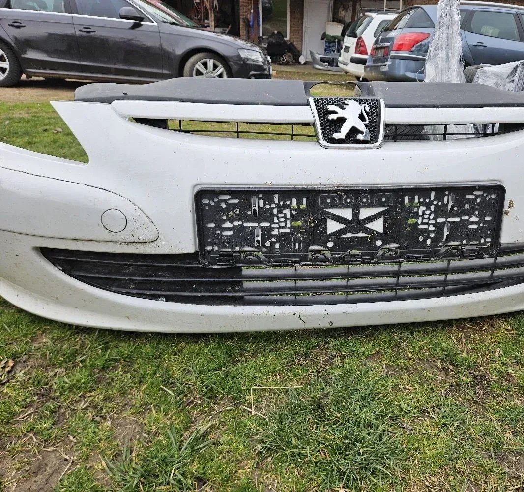 Branik Peugeot 307