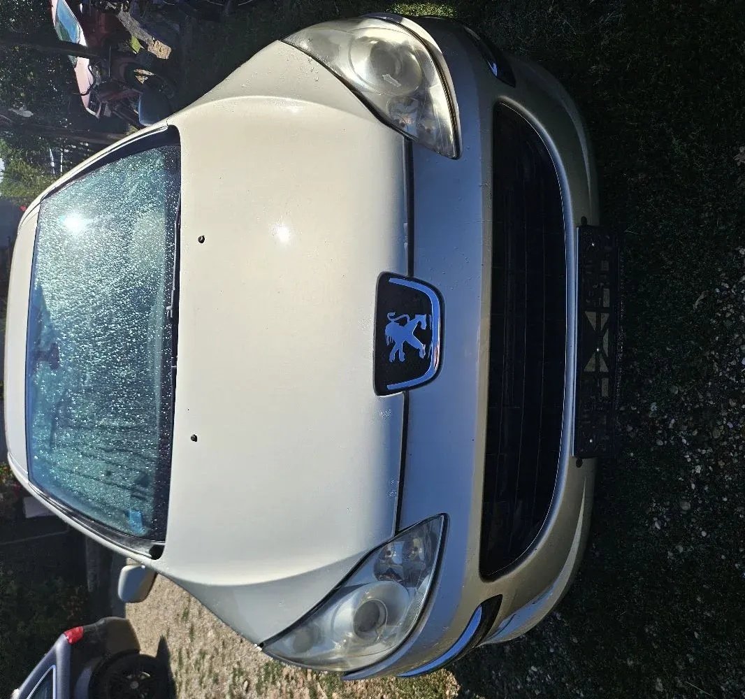 Prednji branik Peugeot 407