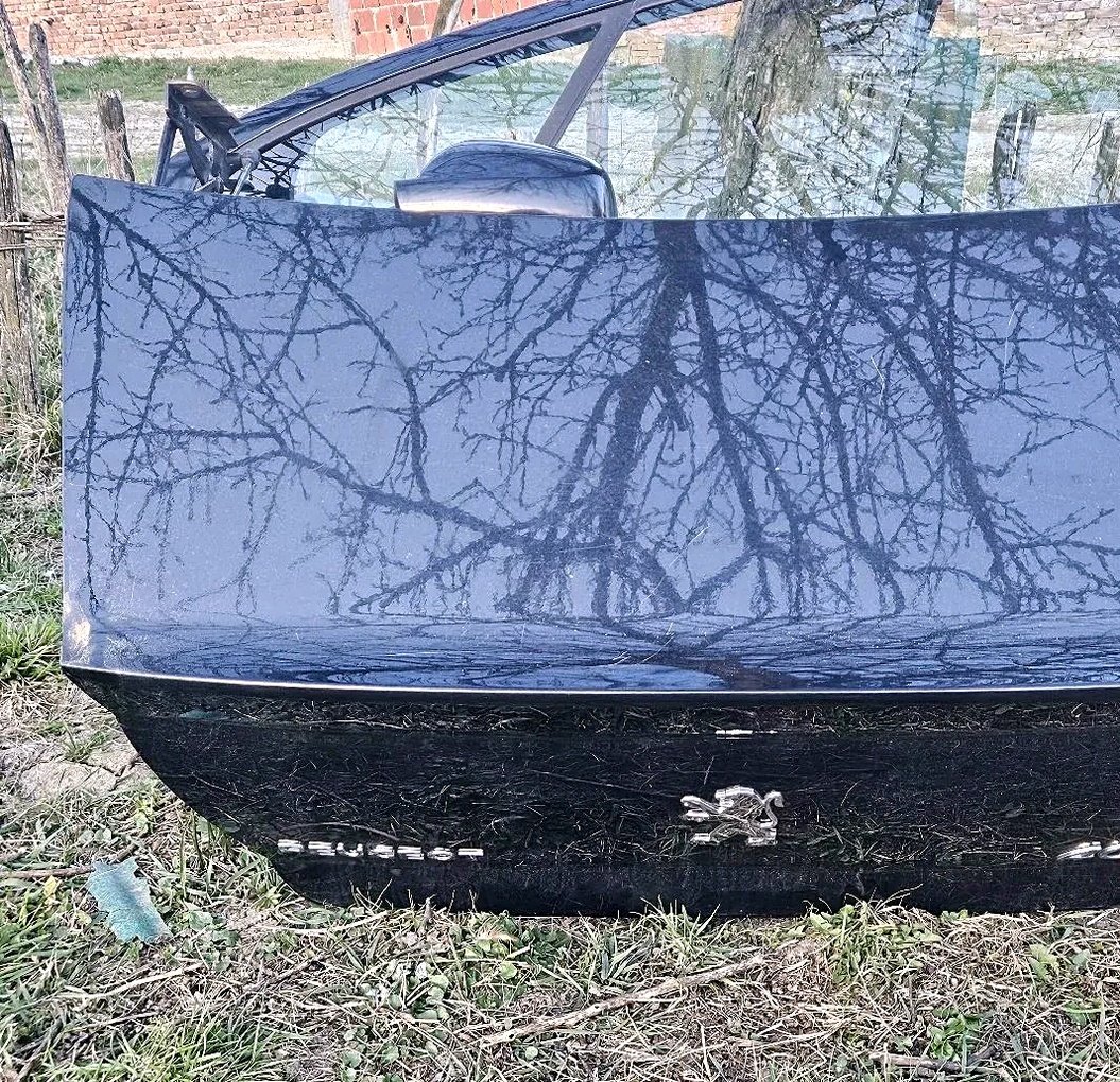 Zadnja vrata Peugeot 407