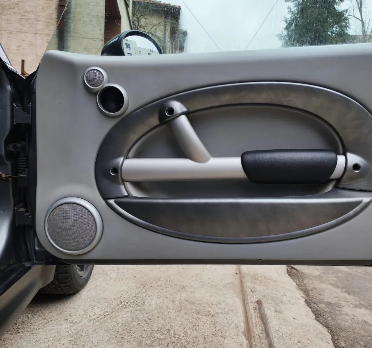 Door panel Mini Cooper R50-R53 R56