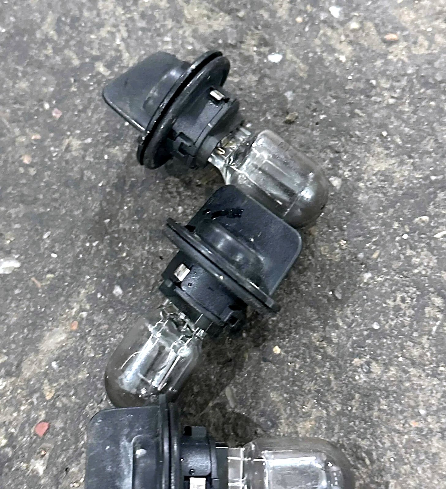 Daytime running light bulb holder Fiat Evo