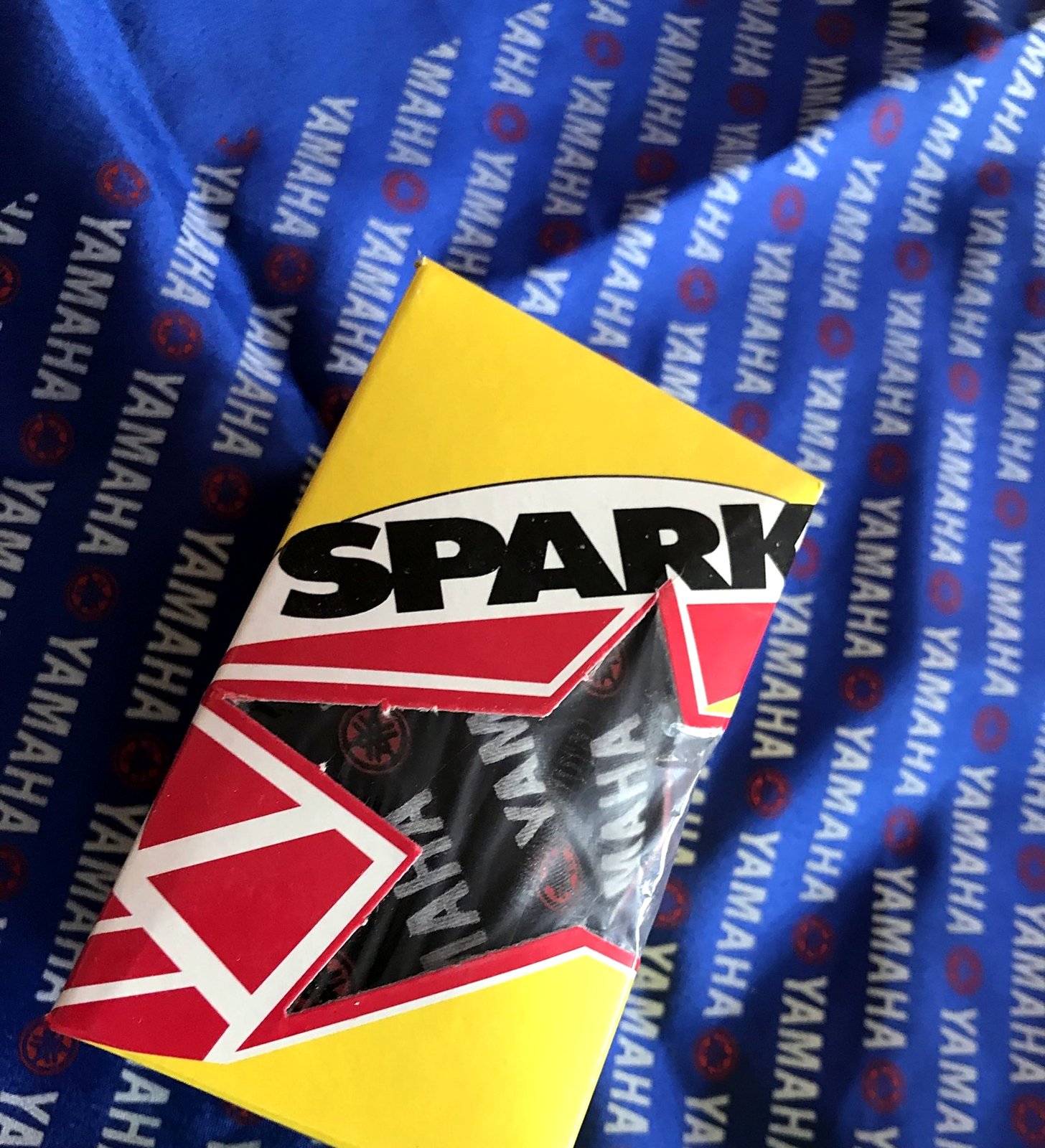 Silk motorcycle neck scarves (bandanas)