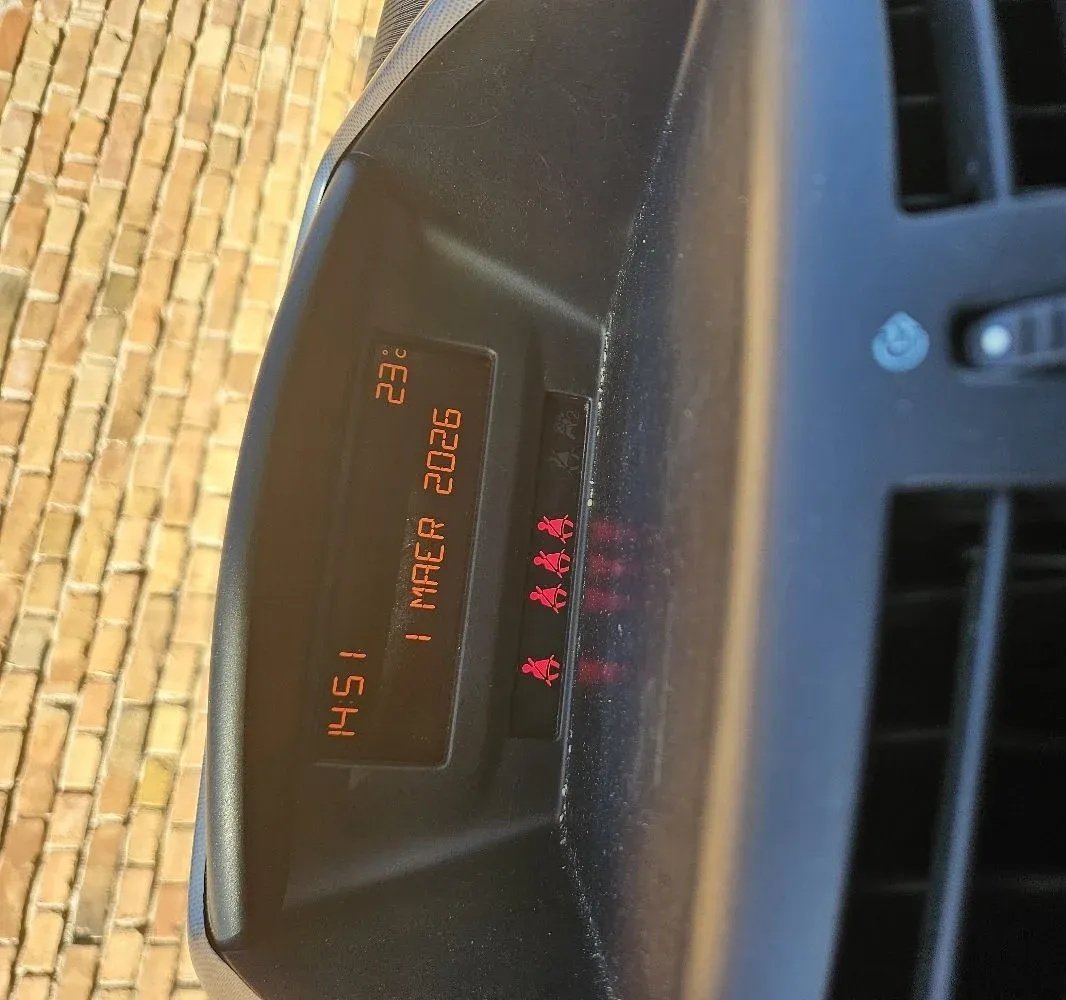 Display Peugeot 207