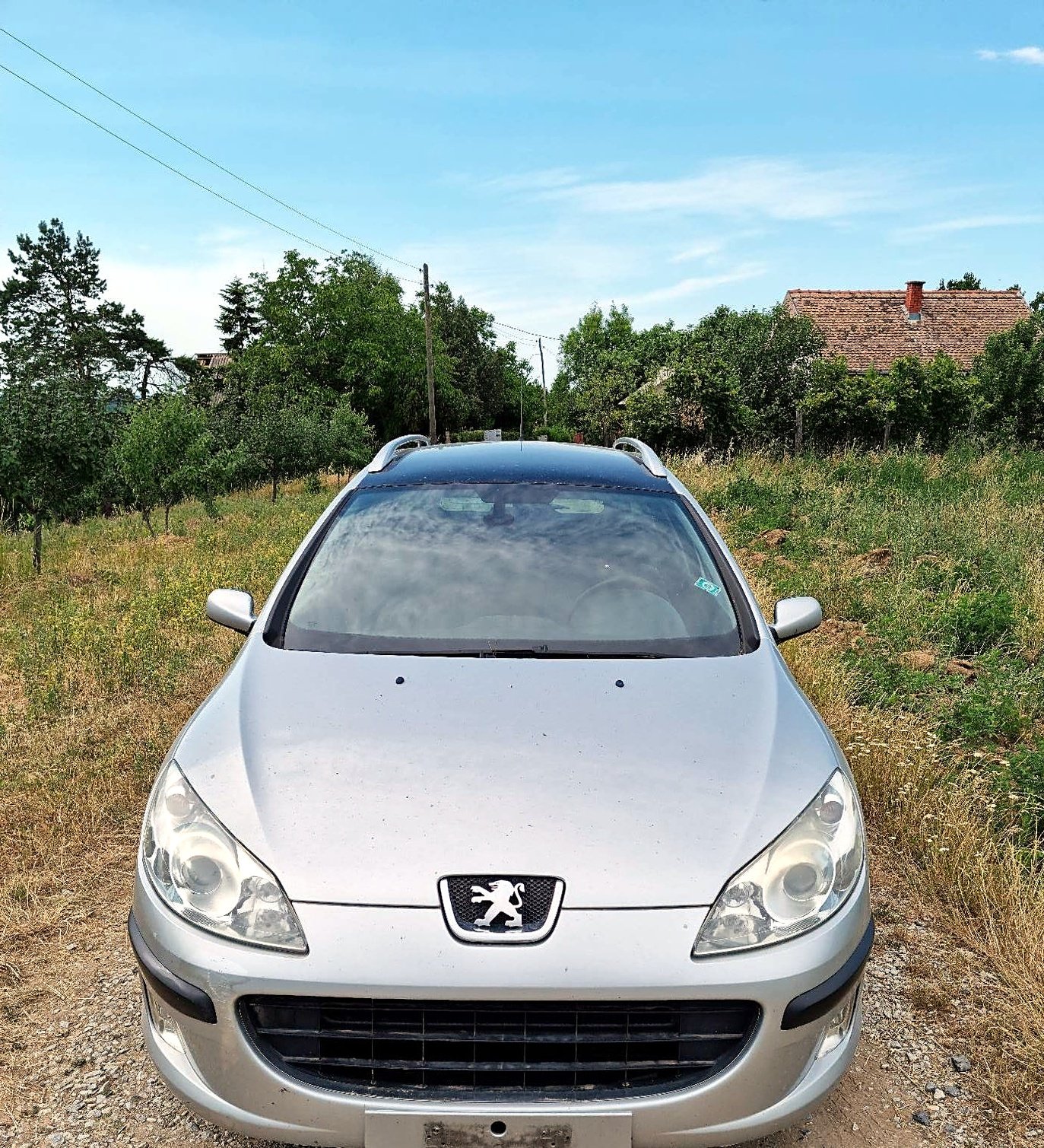 Peugeot 407 hauba