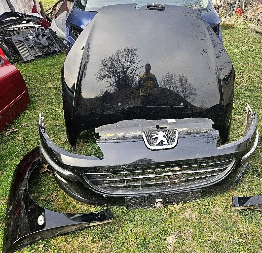 Krila Peugeot 407