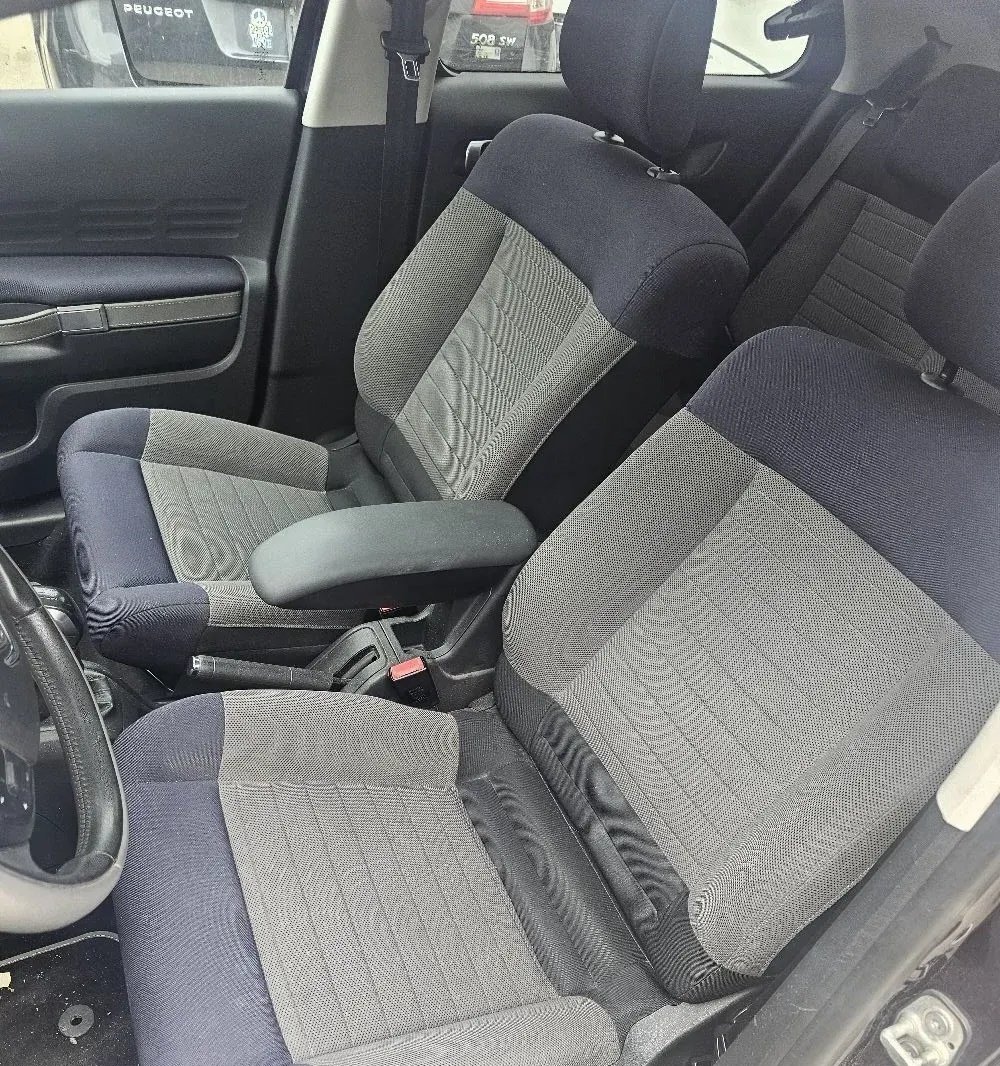 C4 Cactus enterijer